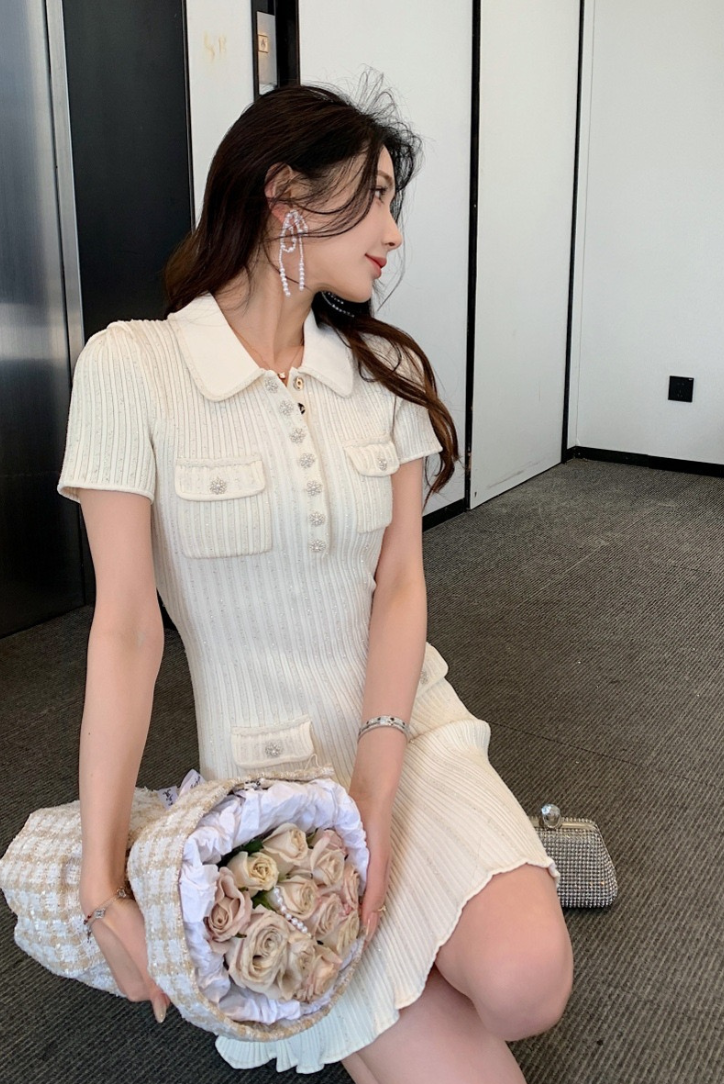 Rosa - Elegant Mini Dress — view 11