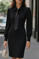 Elegant Mini Dress with Collar and Long Sleeves
