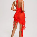 Alayah - Mesh Midi Dress — view 9
